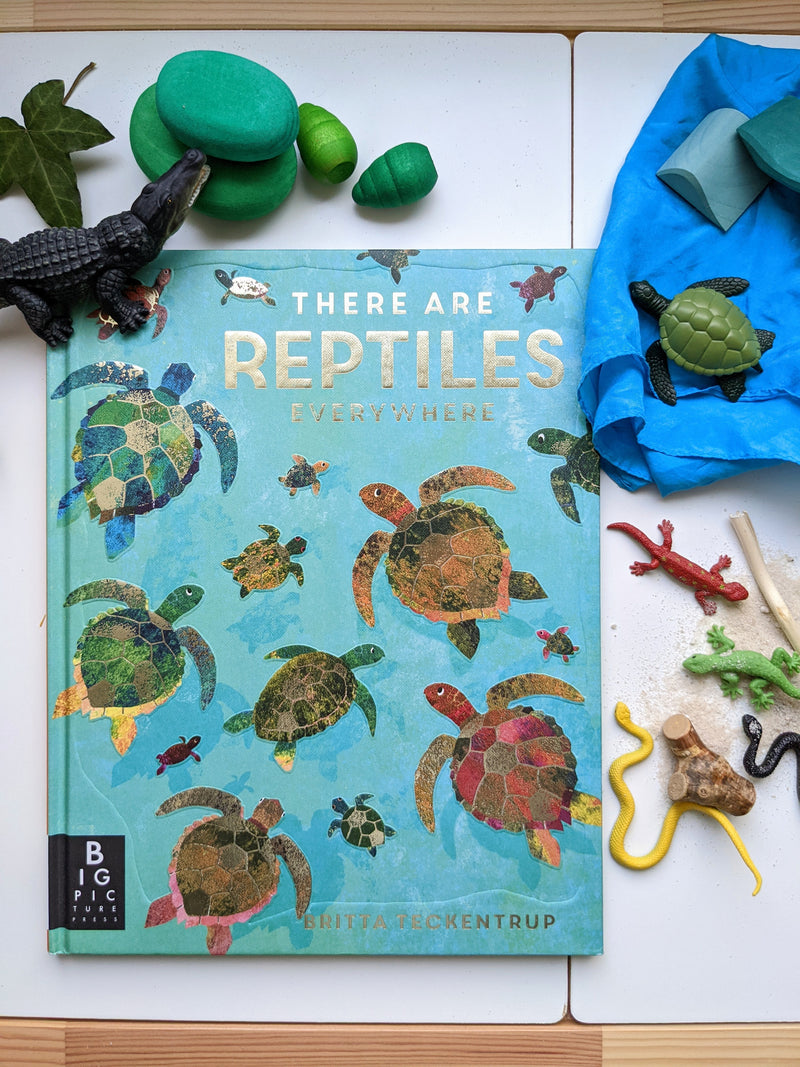 There are Reptiles Everywhere (Hardcover)