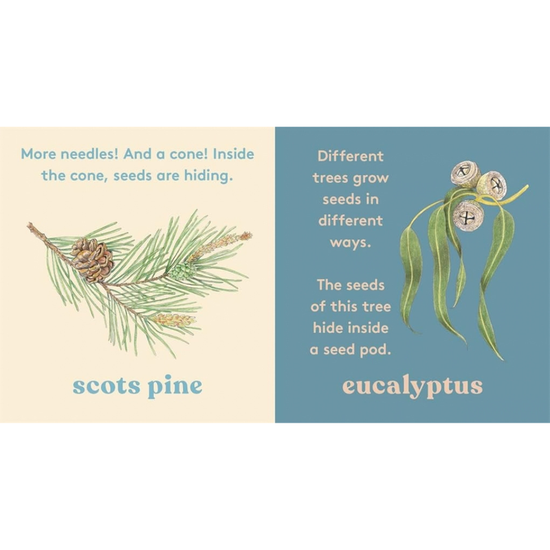 Look A tree (Board Book) by Anya Serota by Magic Cat Kids Touch and Feel Nature Book Introducing 20 Trees and Their Leaves