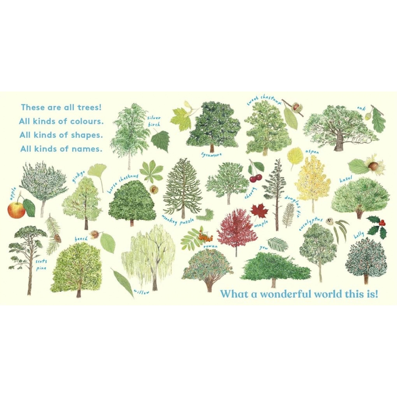 Look A tree (Board Book) by Anya Serota by Magic Cat Kids Touch and Feel Nature Book Introducing 20 Trees and Their Leaves