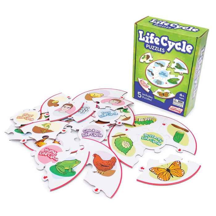 Life Cycle Puzzles By Junior Learning 4yrs+