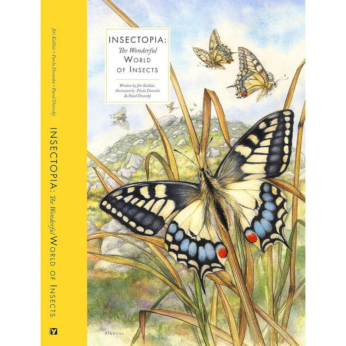 Insectopia: The Wonderful World of Insects (Hardcover)