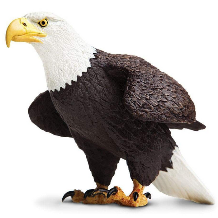 Safari Ltd Extra Large Bald Eagle Figurine by Safari Ltd 3yrs+