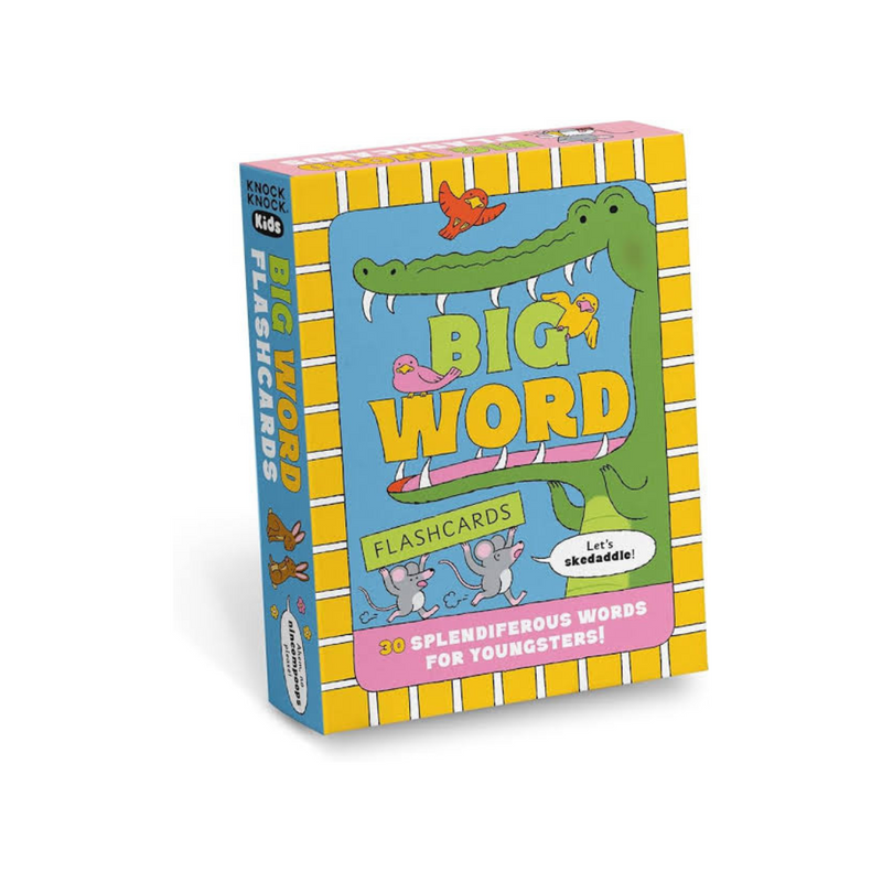 Big Word 30 Flashcards By Knock Knock Kids Early Phonics Literacy 6yrs+