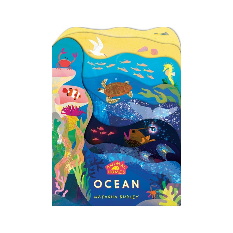 Animal Homes: Ocean (Board Book) Kids Book