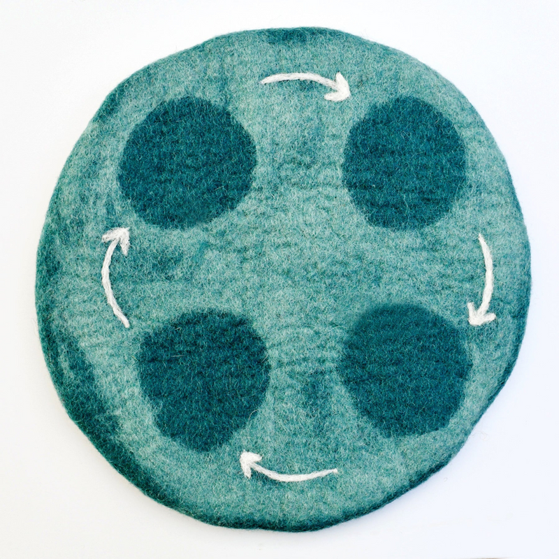 Tara Treasures Felt Life Cycle Water Play Mat Playscape Pretend & Imaginative Play Toys 3yrs+