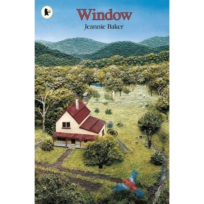 Window (Paperback)