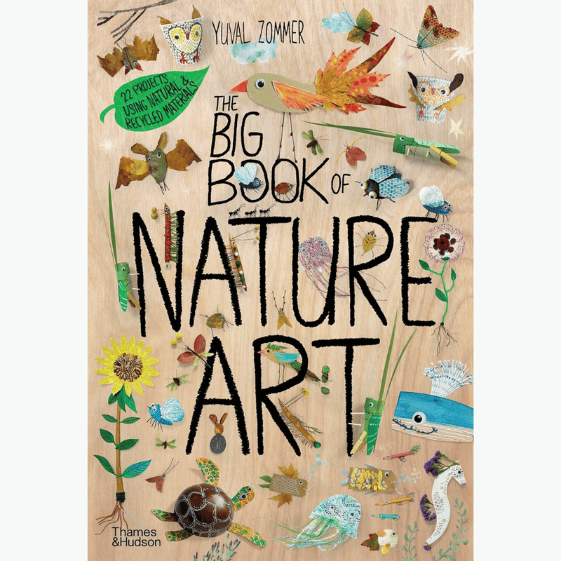 The Big Book Of Nature Art (Hardcover) by Yuval Zommer: Nature kids book