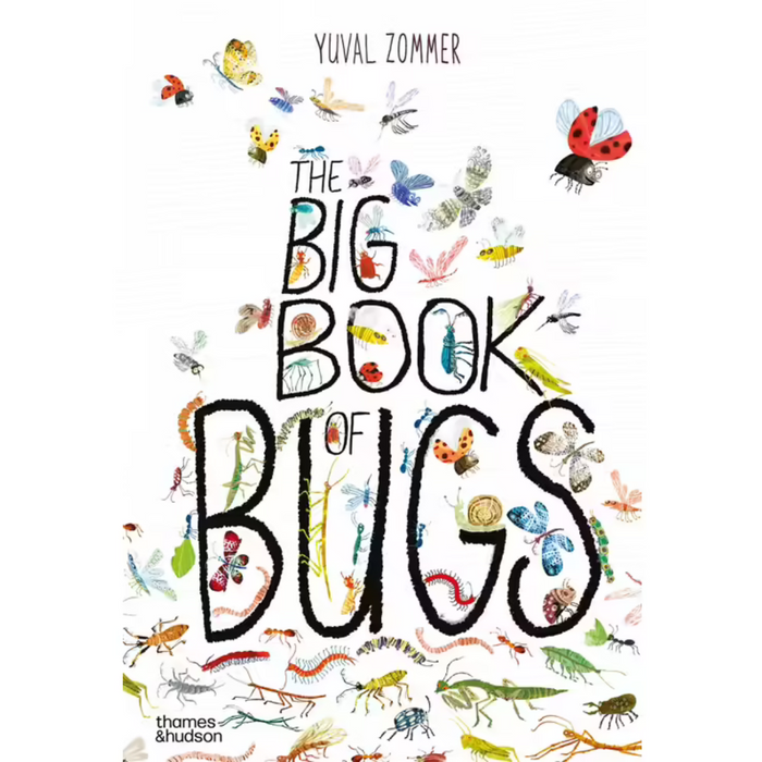 The Big Book Of Bugs (Hardcover)