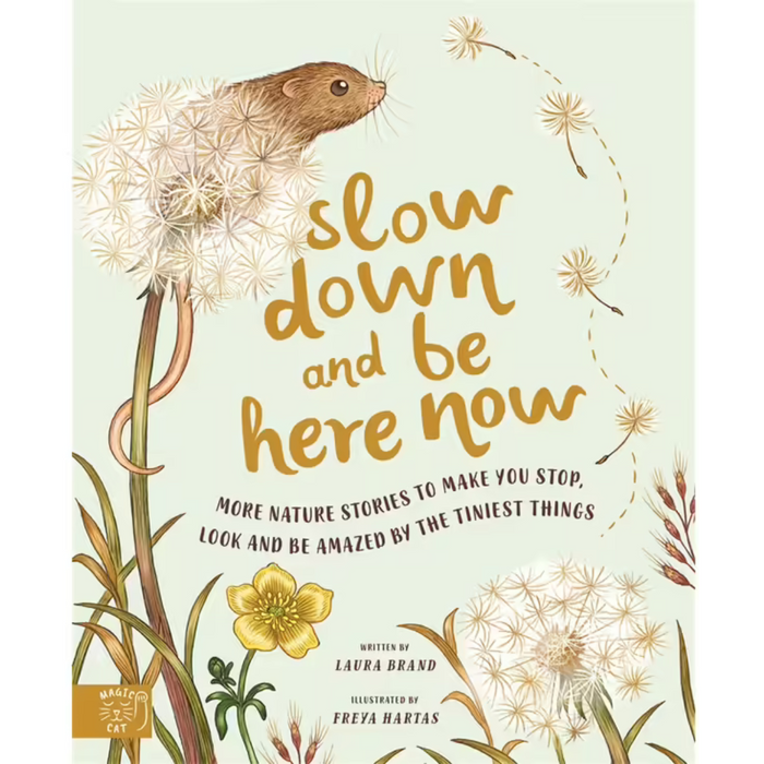 Slow Down And Be Here Now (Hardcover)