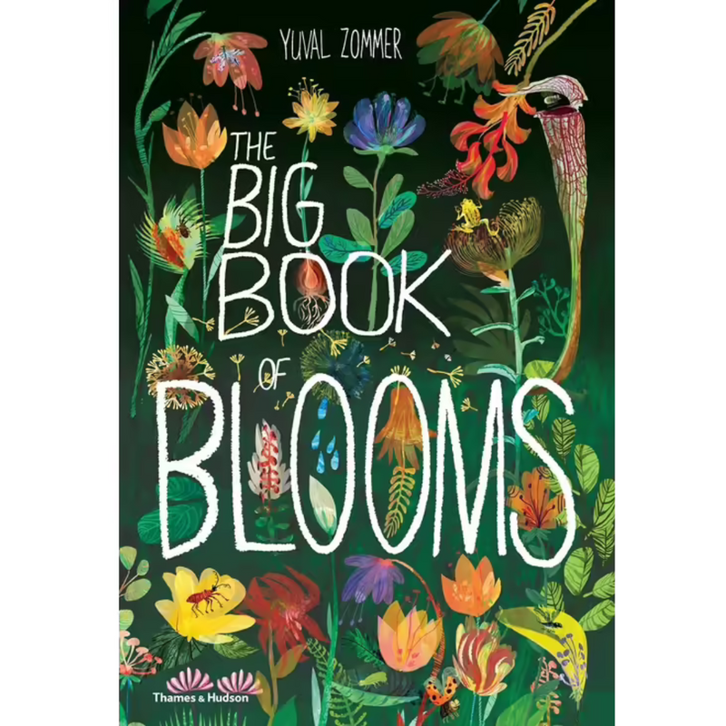 The Big Book Of Blooms (Hardcover) Nature Book Non-fiction Kids Picture Book