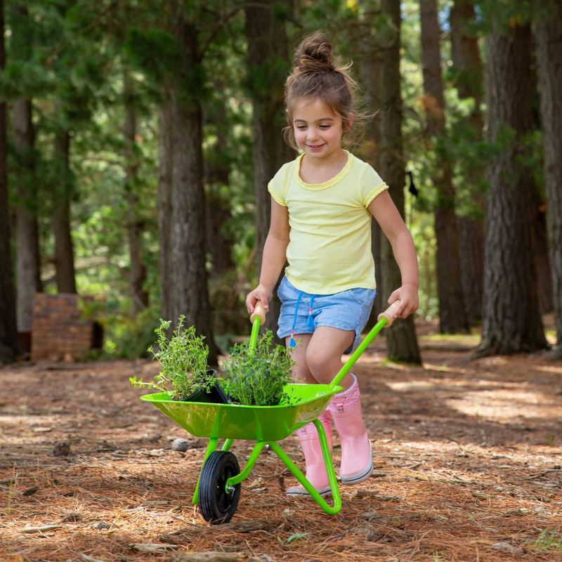 EverEarth Wheel Barrow Outdoor Activities Motor Skills Gift Idea for 3yrs+ (Bulky Shipping)