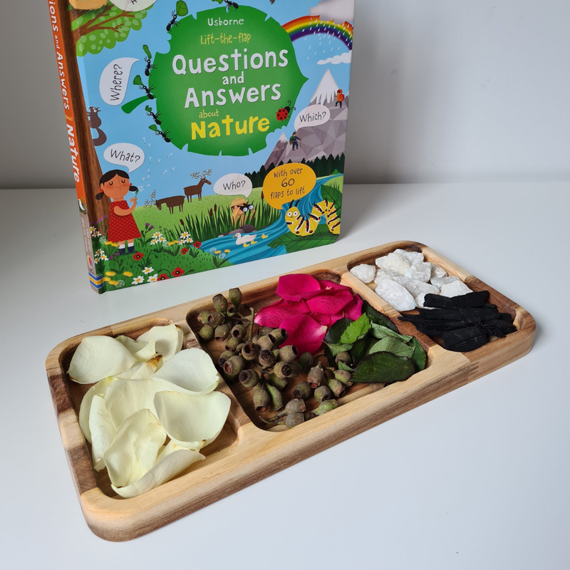 Qtoys Rectangular Activity Tray Sensory Toy Tools Clearance 3yrs+