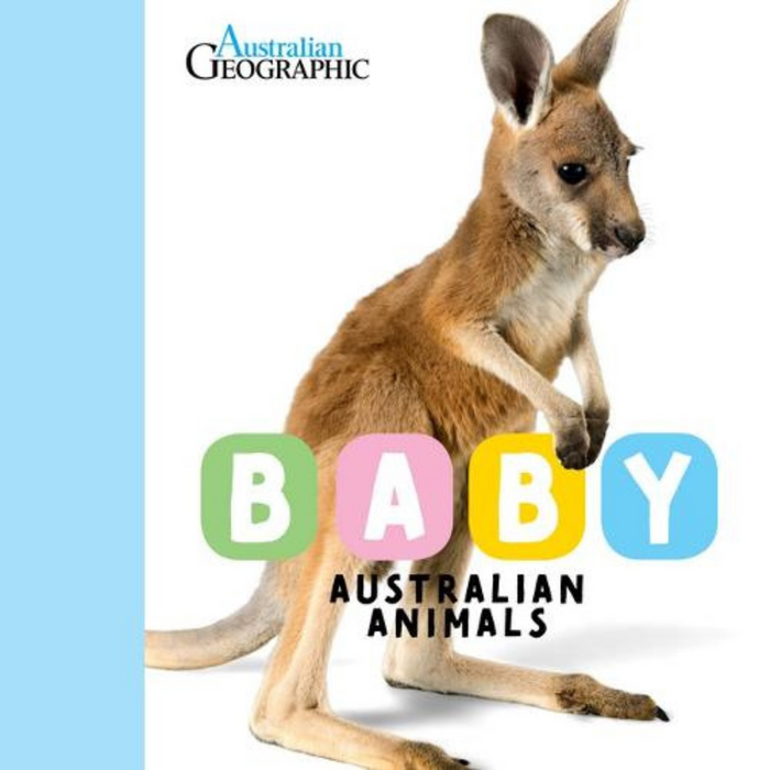 Baby Australian Animals (Board Book)