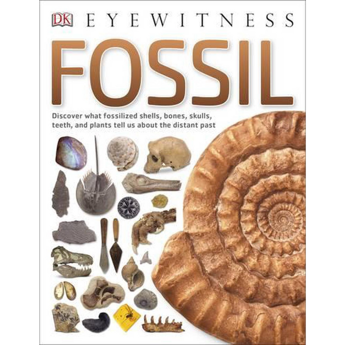 Fossil by DK (Paperback)