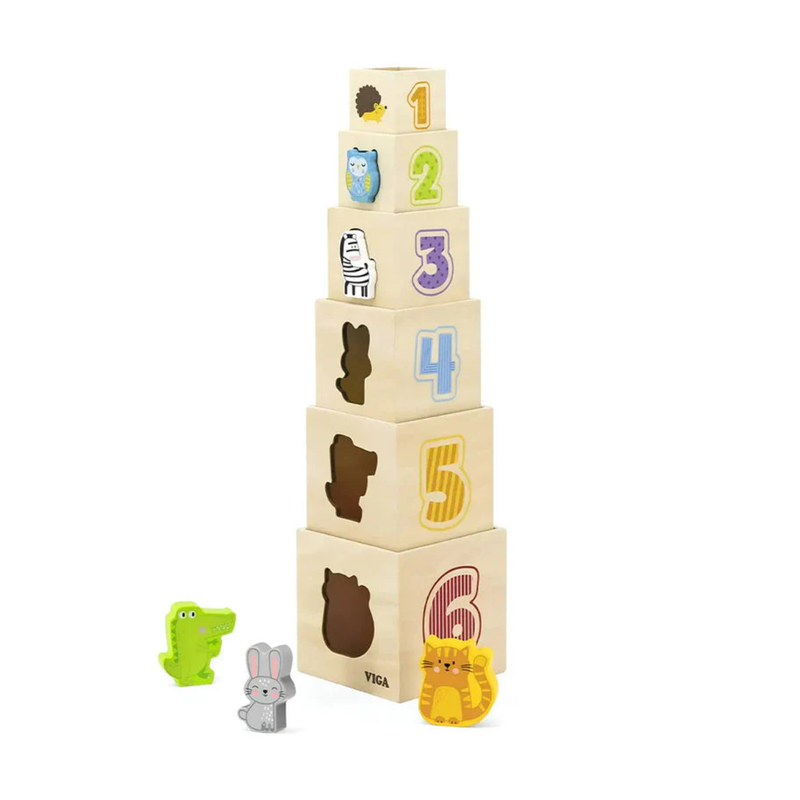 Viga Toys Nesting and Stacking Building Blocks with Rainbow Window Developmental Toys for Toddlers 2yrs+