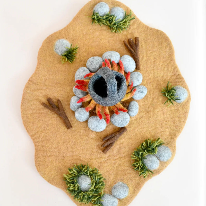 Tara Treasures Felt Wombat Stew Play Mat Playscape 54cm Pretend & Imaginative Play Toys 3yrs+