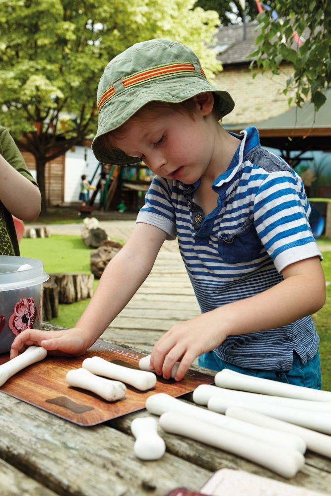 Yellow Door Dinosaur Bones Match and Measure Set with Activity Cards Dinosaur toy Early Science and Math Games for Kids STEM Toys Dinosaur and Dragon Theme 3yrs+