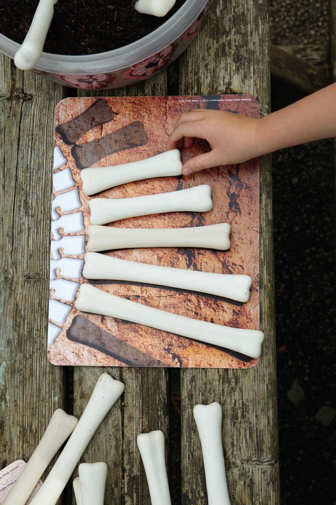 Yellow Door Dinosaur Bones Match and Measure Set with Activity Cards Dinosaur toy Early Science and Math Games for Kids STEM Toys Dinosaur and Dragon Theme 3yrs+