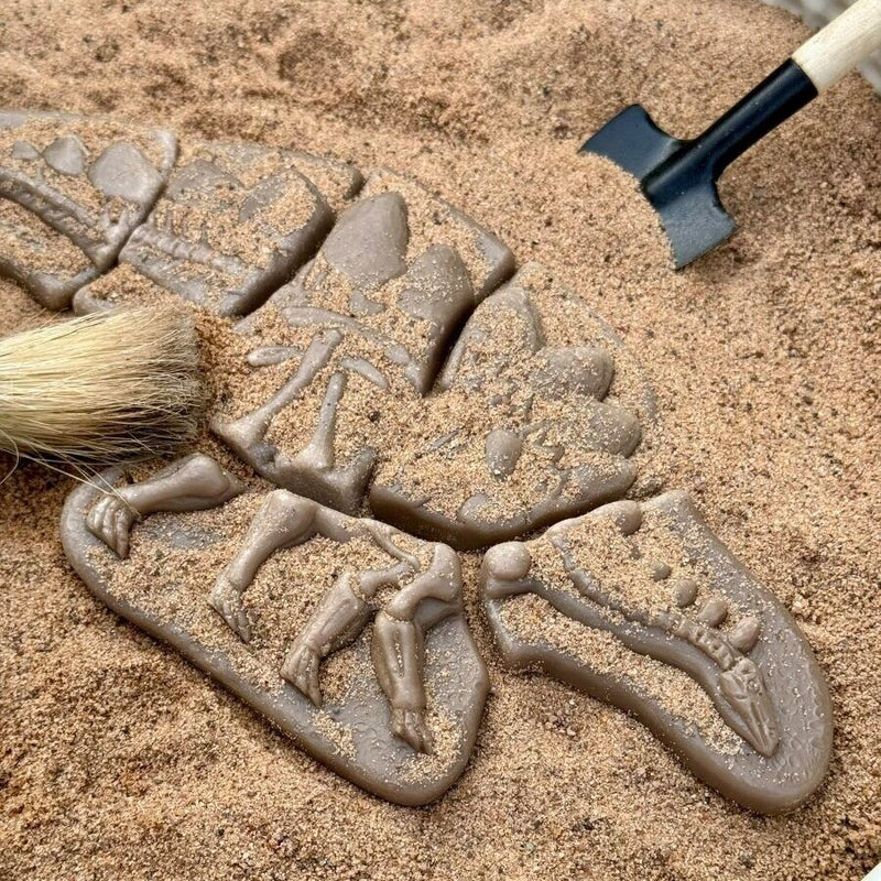 Yellow Door Dig and Discover Pliosaur and Stegosaurus Dinosaur Toys Playdough Sand Toys Sensory Toys 2yrs+