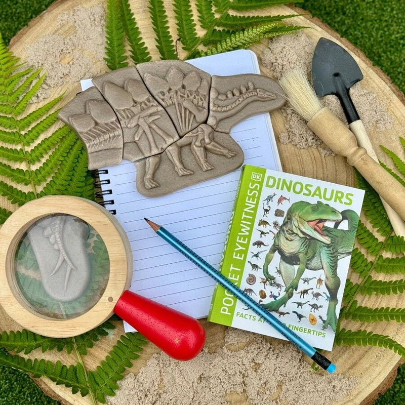 Yellow Door Dig and Discover Pliosaur and Stegosaurus Dinosaur Toys Playdough Sand Toys Sensory Toys 2yrs+