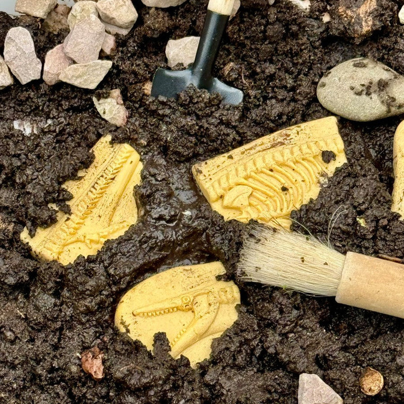 Yellow Door Dig and Discover Pliosaur and Stegosaurus Dinosaur Toys Playdough Sand Toys Sensory Toys 2yrs+