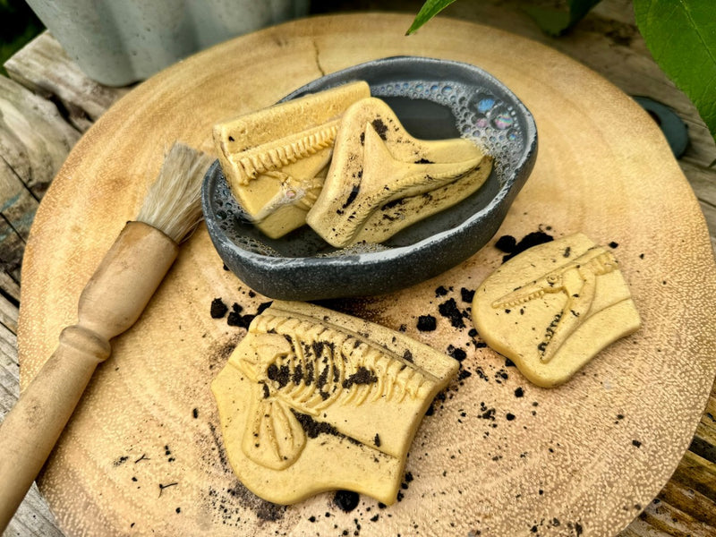 Yellow Door Dig and Discover Pliosaur and Stegosaurus Dinosaur Toys Playdough Sand Toys Sensory Toys 2yrs+