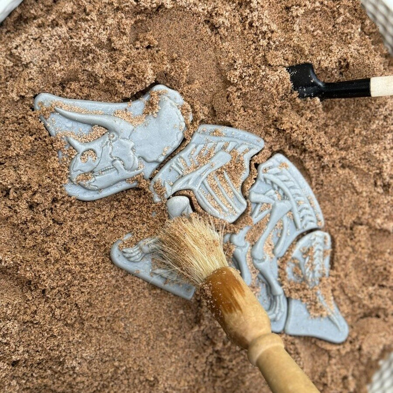 Yellow Door Dig and Discover Triceratops And Spinosaurus Dinosaur Toys Playdough Sand Toys Sensory Toys 2yrs+