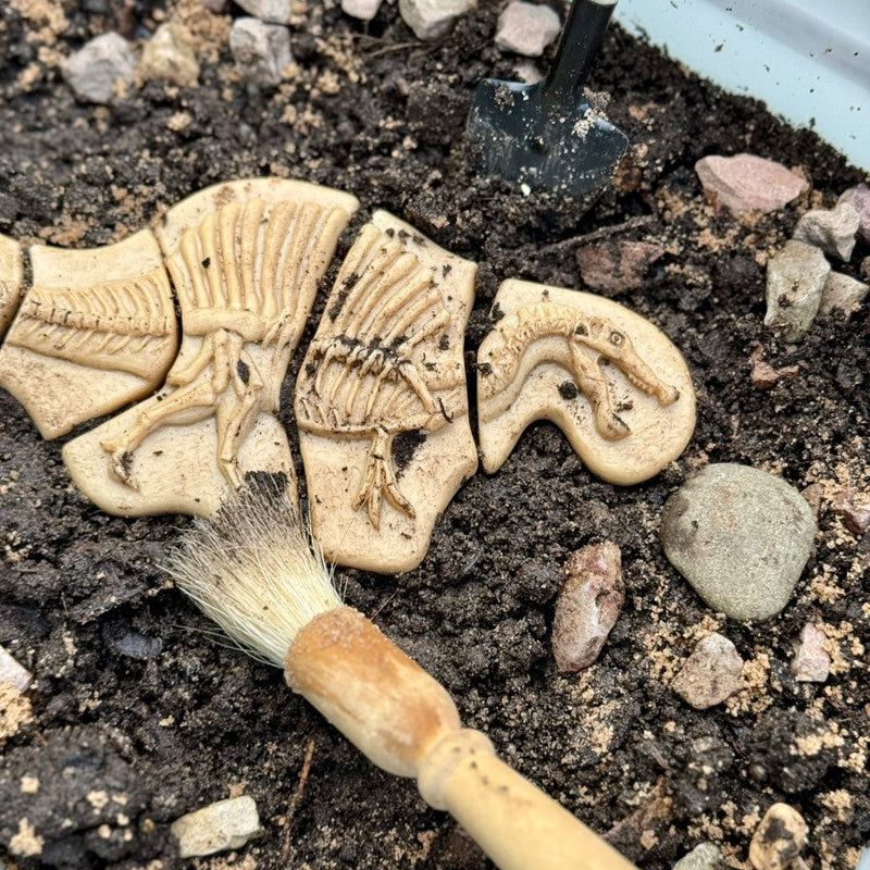 Yellow Door Dig and Discover Triceratops And Spinosaurus Dinosaur Toys Playdough Sand Toys Sensory Toys 2yrs+