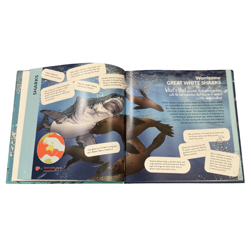 What’s That? Australian Sharks, Rays & Skates (Hardcover) Book Australian Animals Kids Book