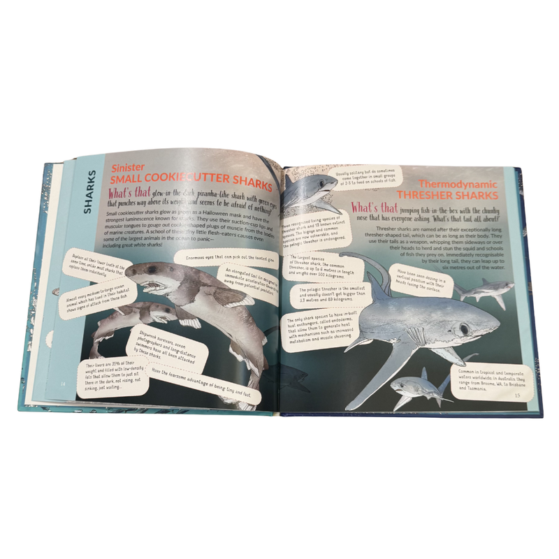 What’s That? Australian Sharks, Rays & Skates (Hardcover) Book Australian Animals Kids Book