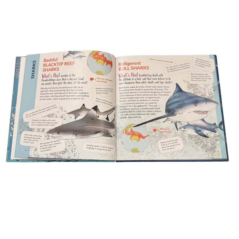 What’s That? Australian Sharks, Rays & Skates (Hardcover) Book Australian Animals Kids Book