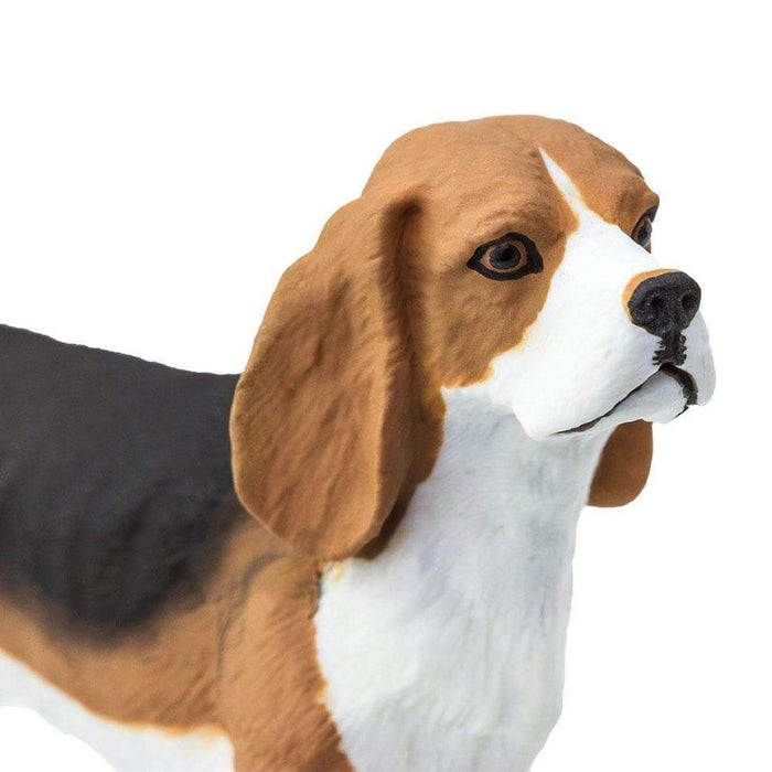 Safari Ltd Beagle Figurine