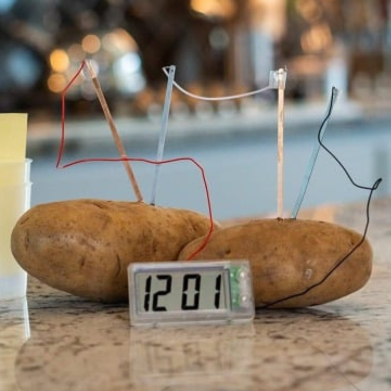 Green Science Potato Clock By 4M Early Science STEM Toys 8yrs+