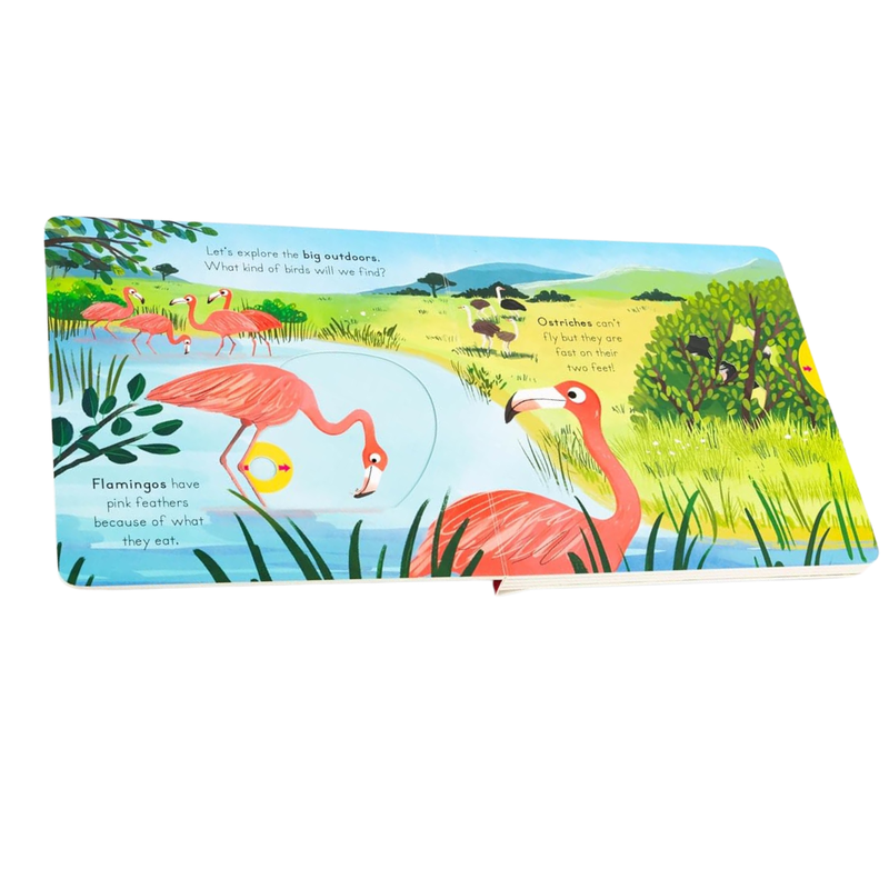 Birds Big Outdoors for Little Explorers (Board Book) by Anne-Kathrin Behl Slide Book Interactive Kids Picture Book