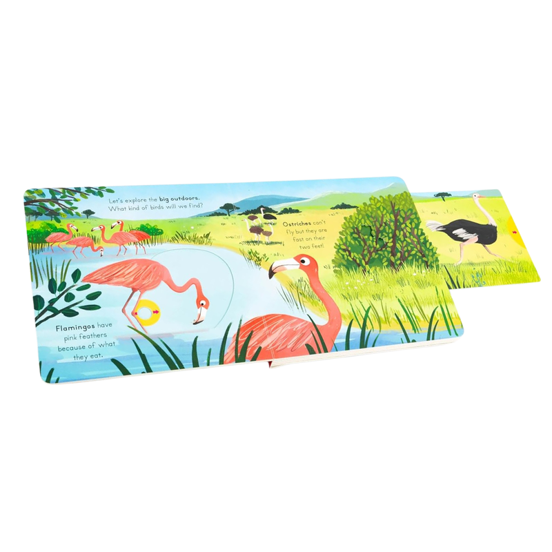 Birds Big Outdoors for Little Explorers (Board Book) by Anne-Kathrin Behl Slide Book Interactive Kids Picture Book
