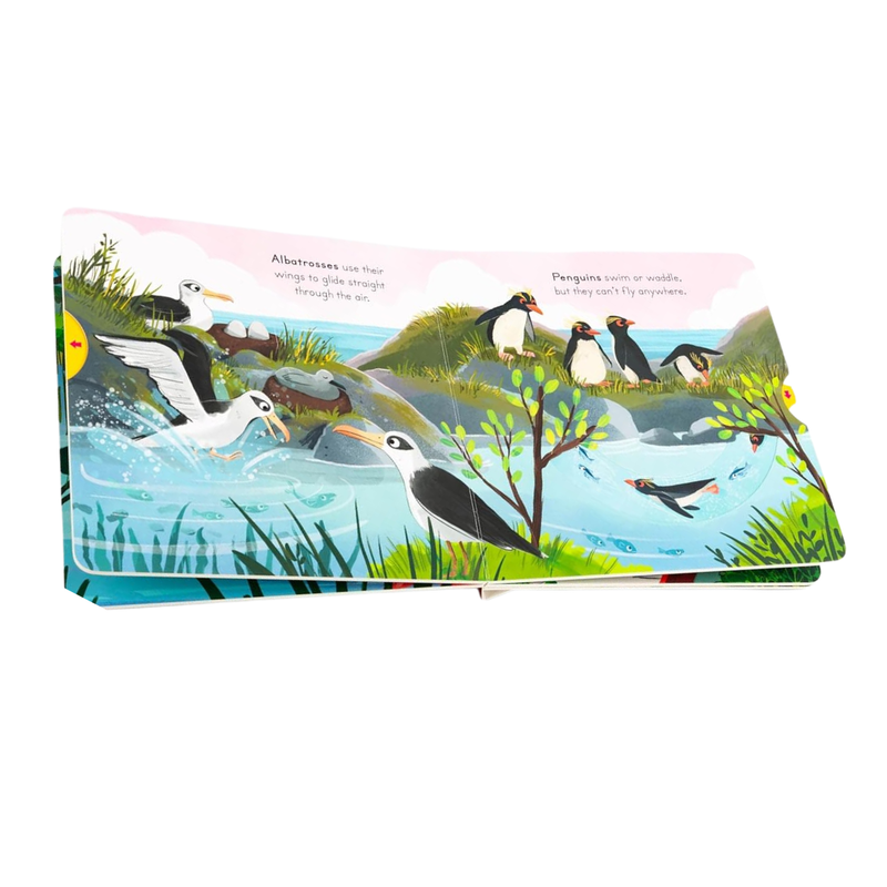 Birds Big Outdoors for Little Explorers (Board Book) by Anne-Kathrin Behl Slide Book Interactive Kids Picture Book