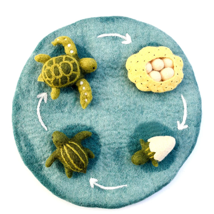 Tara Treasures Felt Life Cycle of Green Sea Turtle Toy