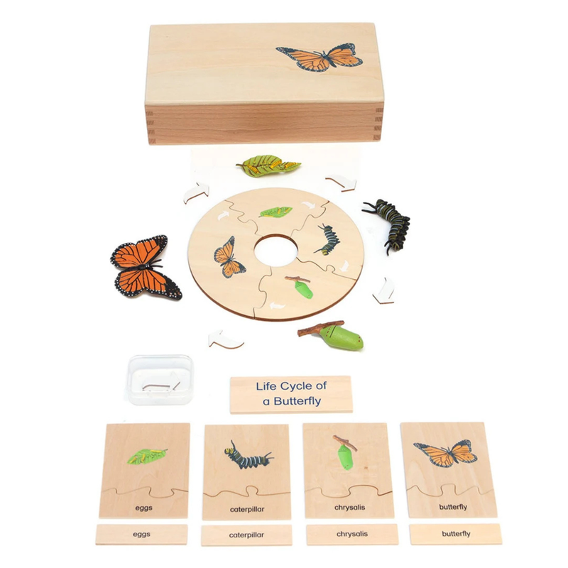 Montessori Wooden Life Cycle of Butterfly Puzzle Set with 4 Figurines Montessori Materials 3yrs+