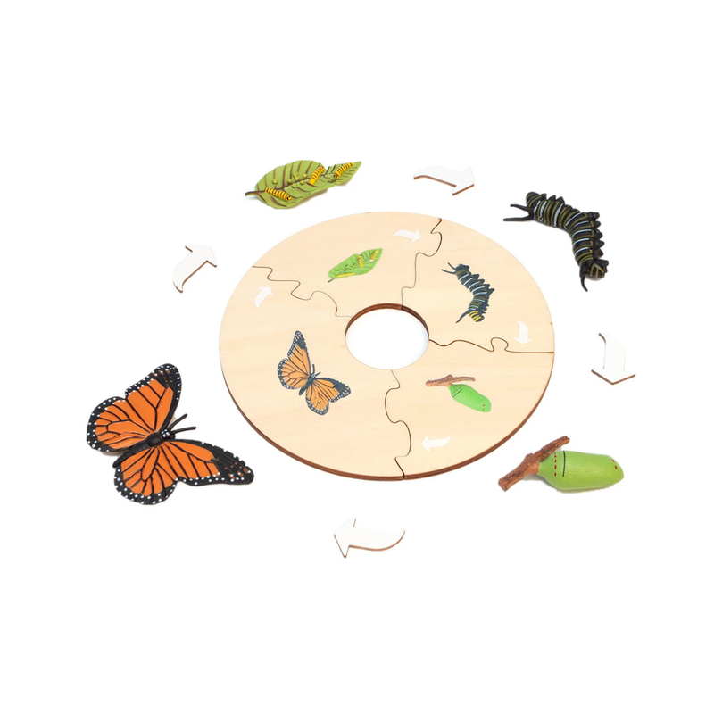 Montessori Wooden Life Cycle of Butterfly Puzzle Set with 4 Figurines Montessori Materials 3yrs+