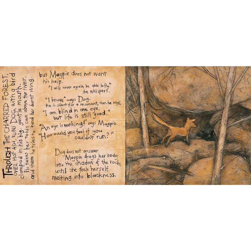 Fox 25th Anniversary Edition (Hardcover) by Margaret Wild Kids Book