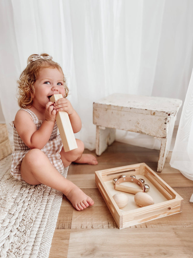 Baby Noise Mini Musical Box Set Musical Instruments for Kids Gifting Ideas 3yrs+