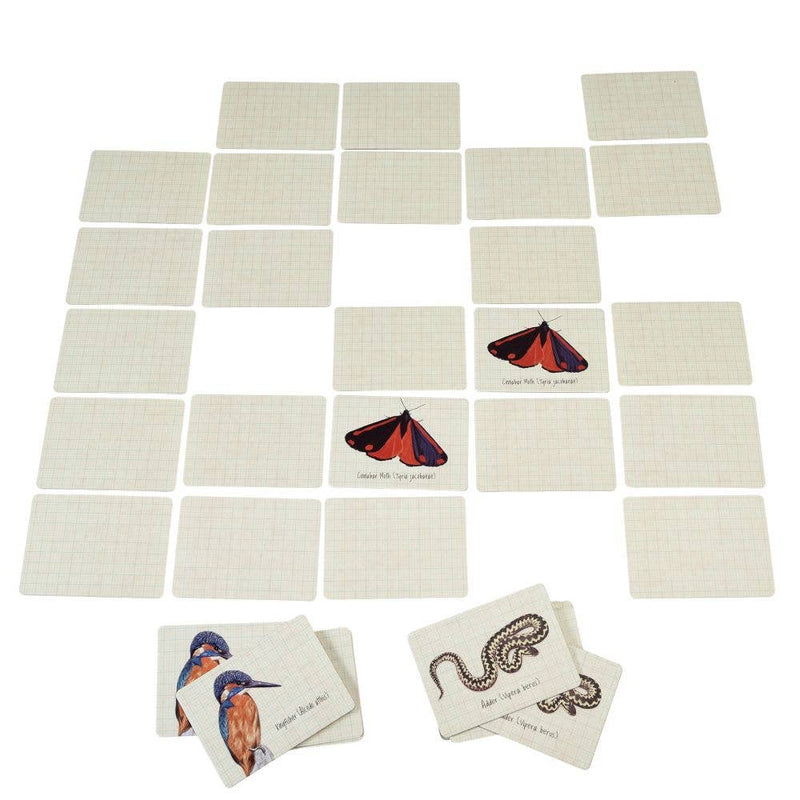 Rex London Nature Trail Memory Game Kids Educational Matching Game for Memory & Nature Learning