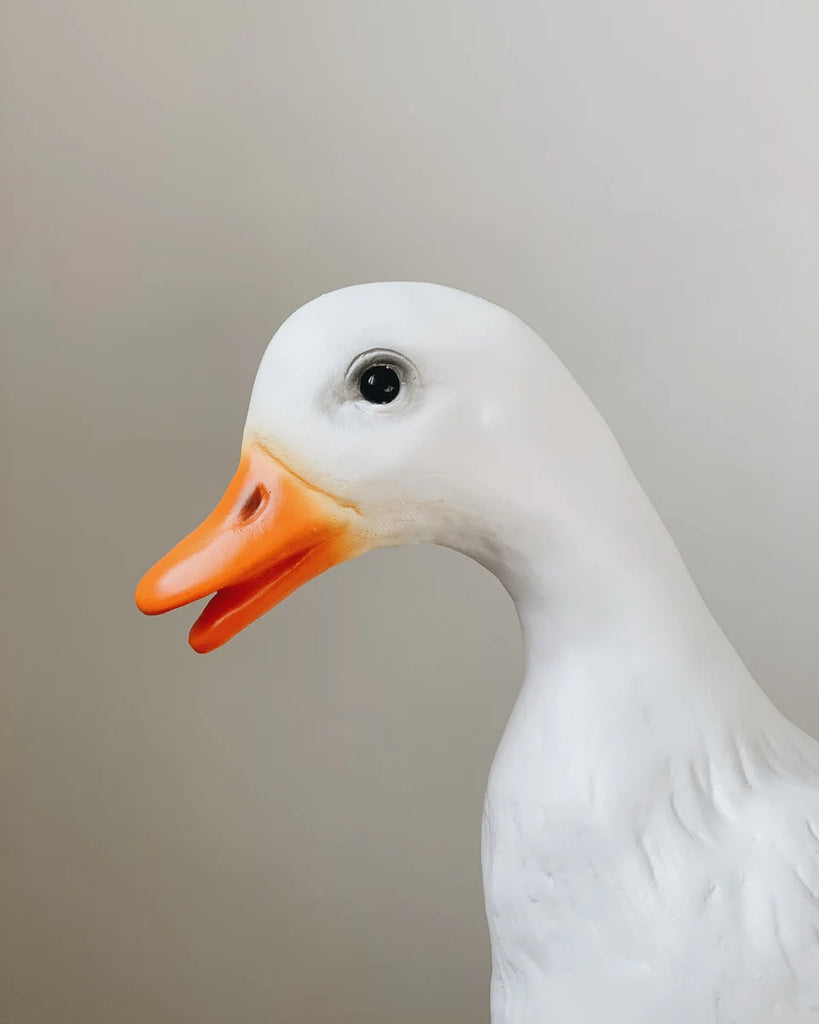 The duck hot sale lamp