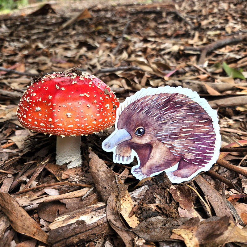 Australian Animal Large Vinyl Waterproof window wall decor Stickers Original Artworks Selected 10pcs Pack by Watercolour By Cat