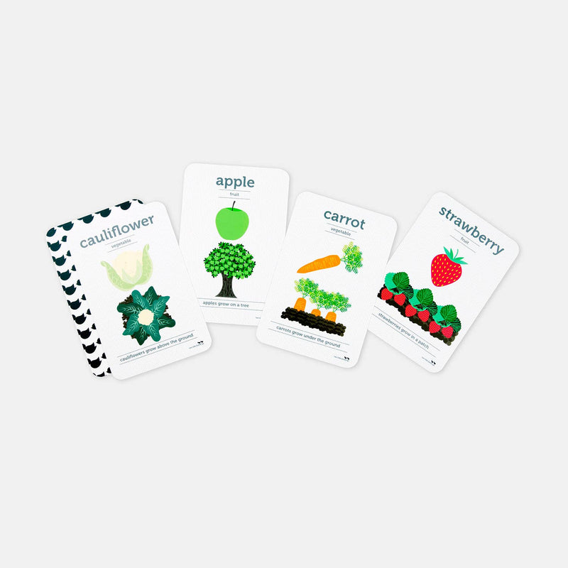 Fruit and Vegetables Flash Cards by Two Little Ducklings 3yrs+
