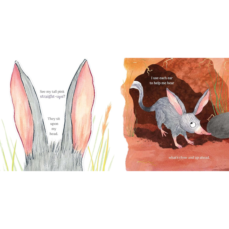 Are You the Easter Bunny? (Hardcover) by Lucinda Grifford Kids Picture Book Easter Book