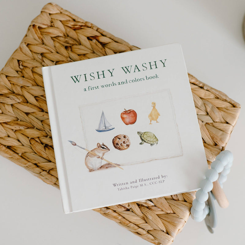 Paige Tate & Co. Wishy Washy: A Board Book of First Words and Colors