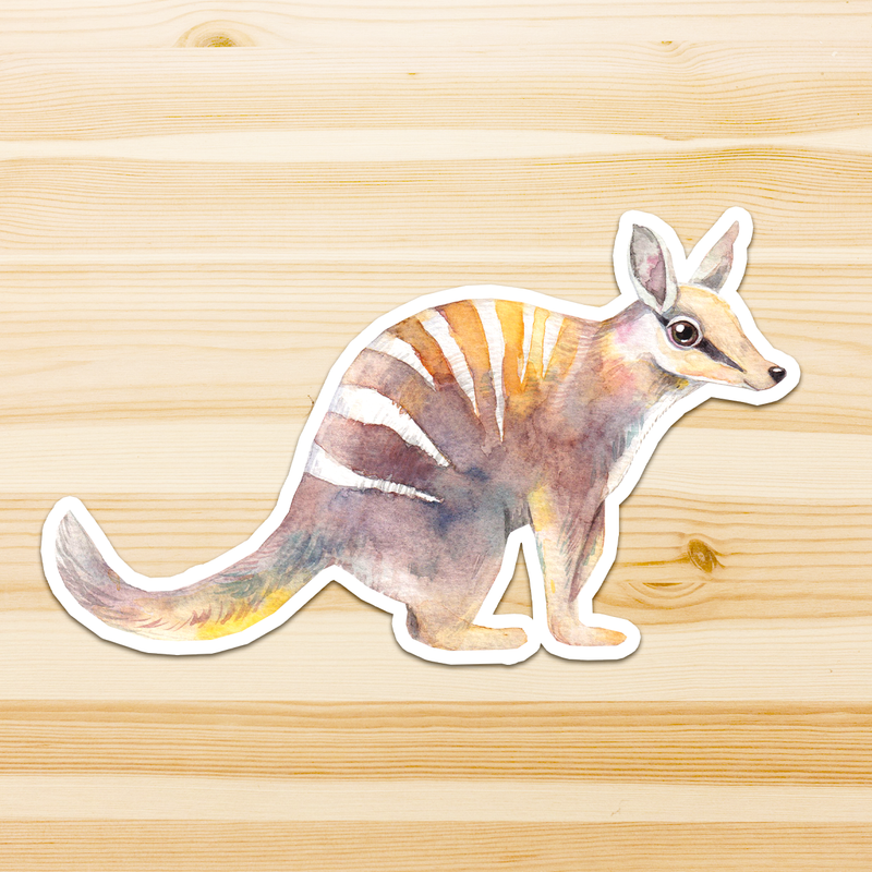 Australian Animal Large Vinyl Waterproof window wall decor Stickers Original Artworks Selected 10pcs Pack by Watercolour By Cat