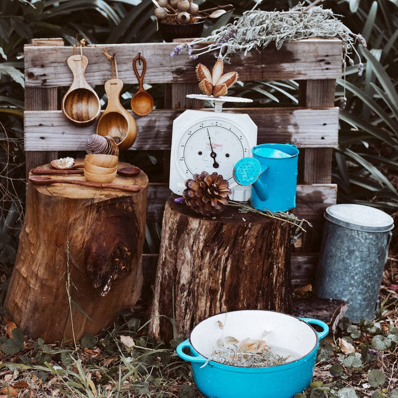 Wild Mountain Child Twig Spoon