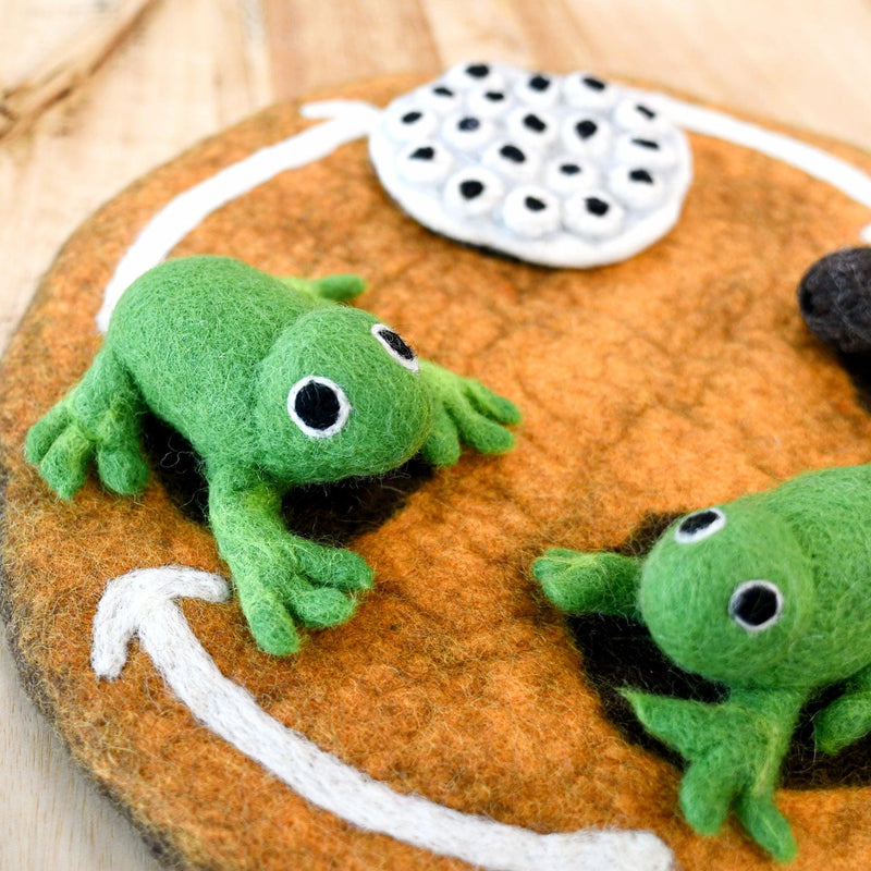 Tara Treasures Felt Life Cycle of a Frog 4pcs Felt Figures Only Pretend & Imaginative Play Toys Felt Animals Early Science 3yrs+